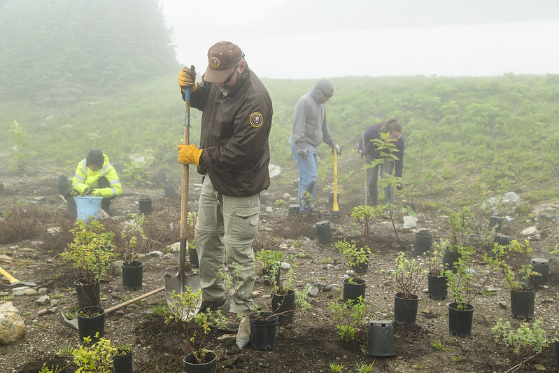 A public domain image from Openverse showing a volunteer team.